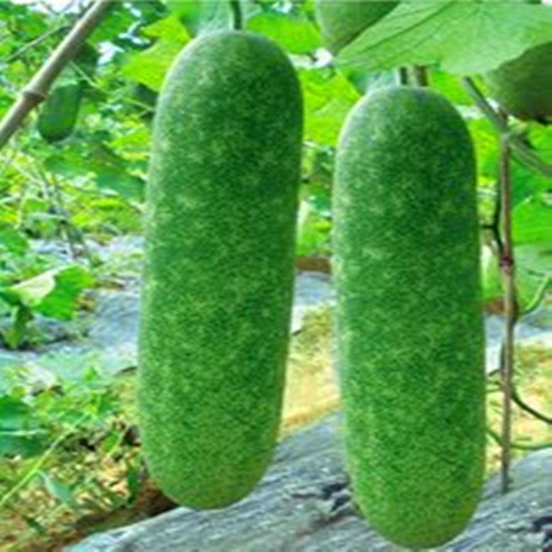 Cloud Zoom small image