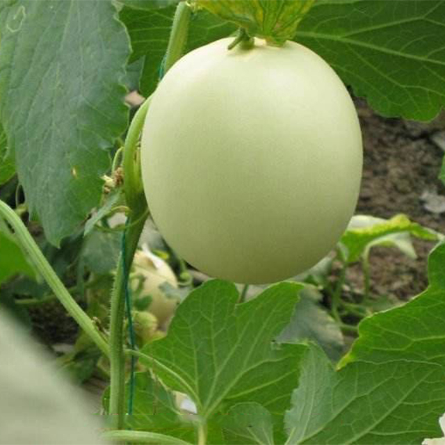 Cloud Zoom small image