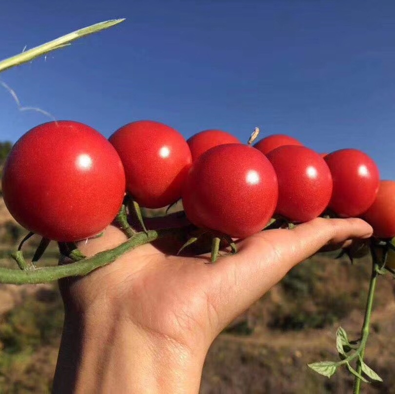 Cloud Zoom small image