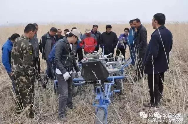 意大利芦苇割捆机现场会在新疆且末县召开