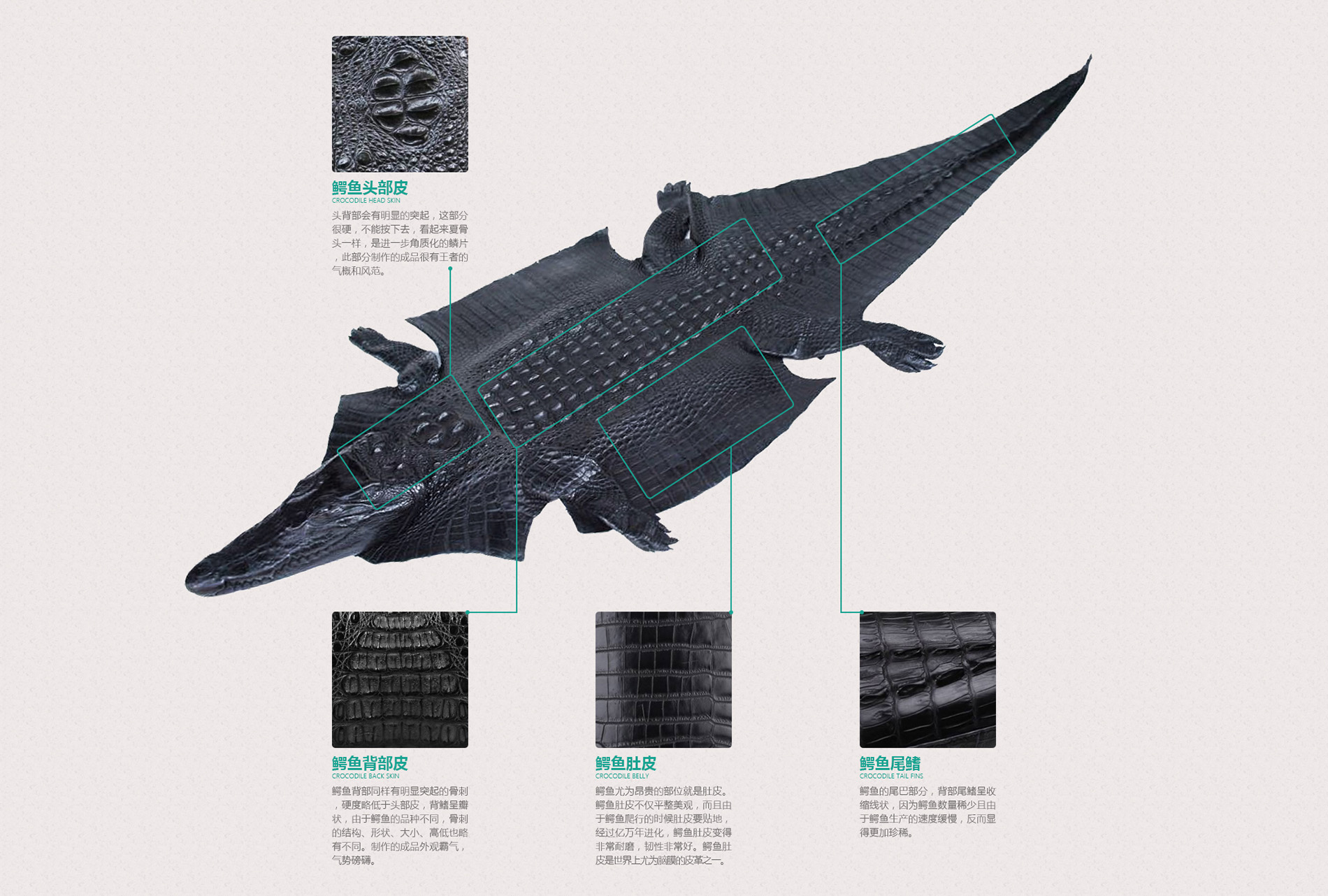 鳄鱼皮具批发