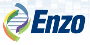Enzo