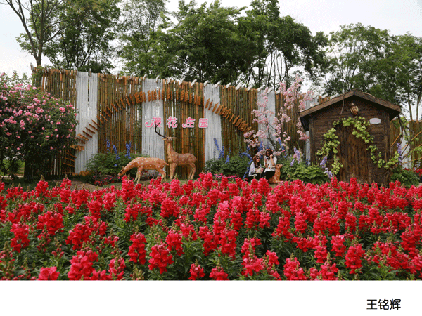 2017上期摄影班学员王铭辉作品