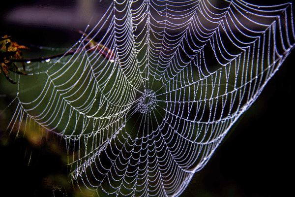 2017下期摄影班李昌伦老师作品