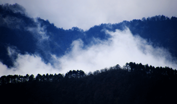 2017下期摄影班尹国林学员作品 