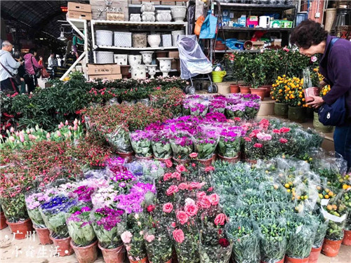 广州哪里批发鲜花便宜？哪有卖鲜花的地方？