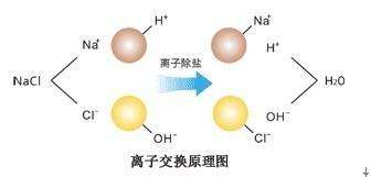 離子交換原理.jpg