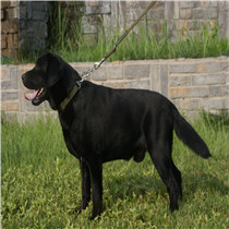 Cloud Zoom small image