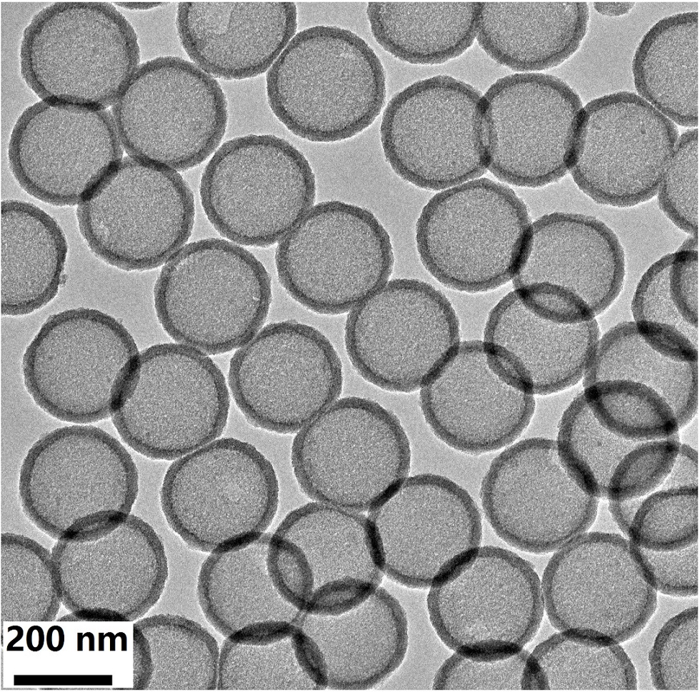 ems系列——单分散中空二氧化硅微球-单分散纳米微球-产品中心-南京彩