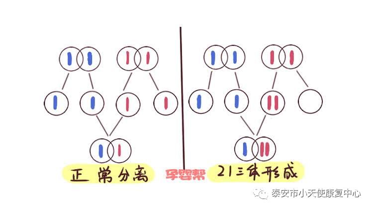 20200401104016_81275.jpg 微信图片_20200401103606.jpg