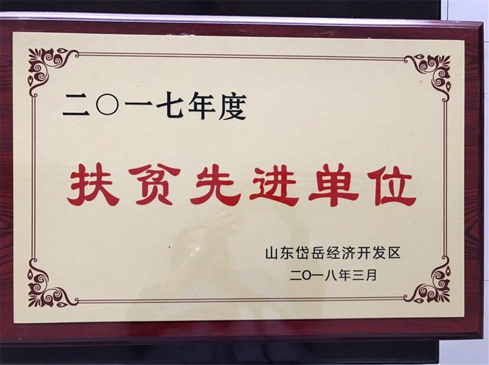 2017年度扶贫先进单位