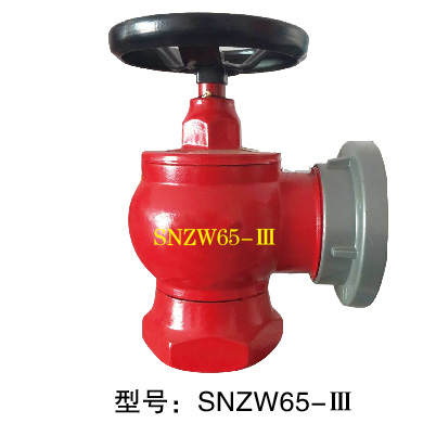 防碴式室内消防栓SNZW65-Ⅲ