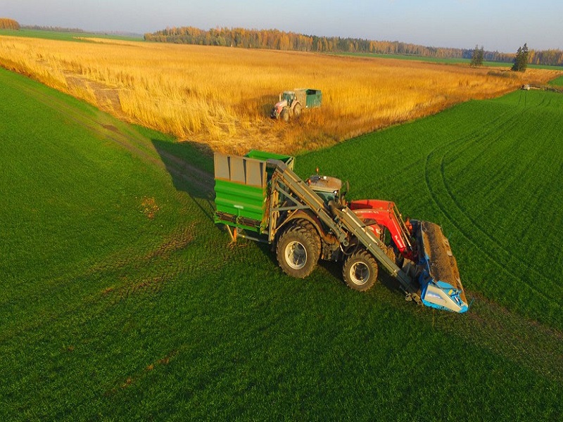 汉麻花穗梳脱机/Hemp stripper