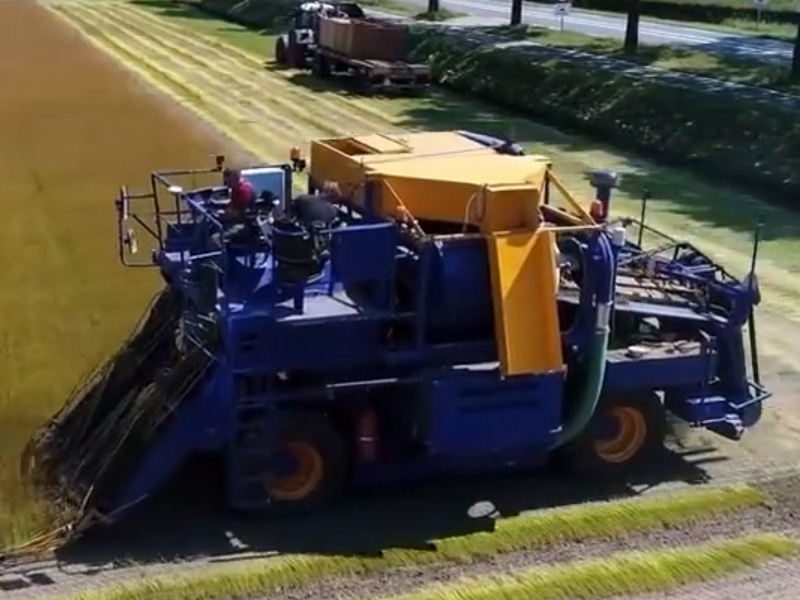 Union U30 拔麻脱粒一体机