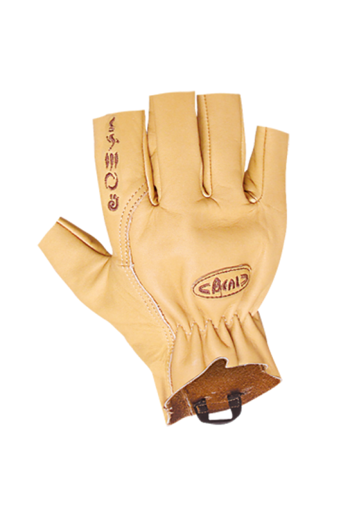 20221223133252_84172.png MITAINE ASSURE.png