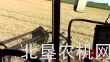 纽荷兰收获机机械化收获小麦作业视频