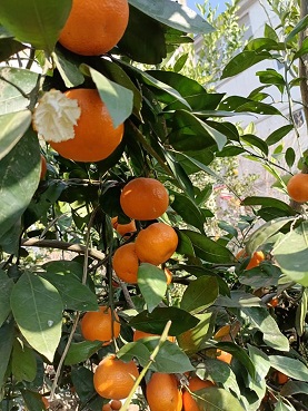 老苏服务日记2021年12月23号