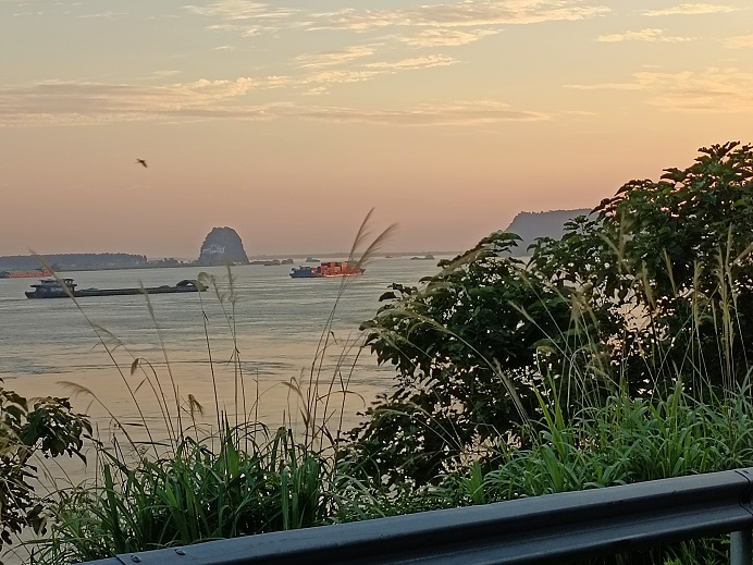 老苏服务日记2022年7月10日