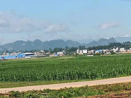 老苏服务日记2022年7月25日