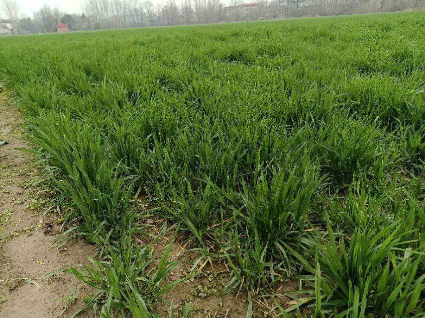 老苏服务日记2023年2月16日