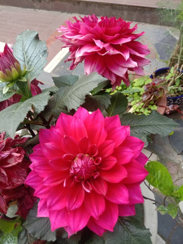 老苏服务日记2023年11月12日