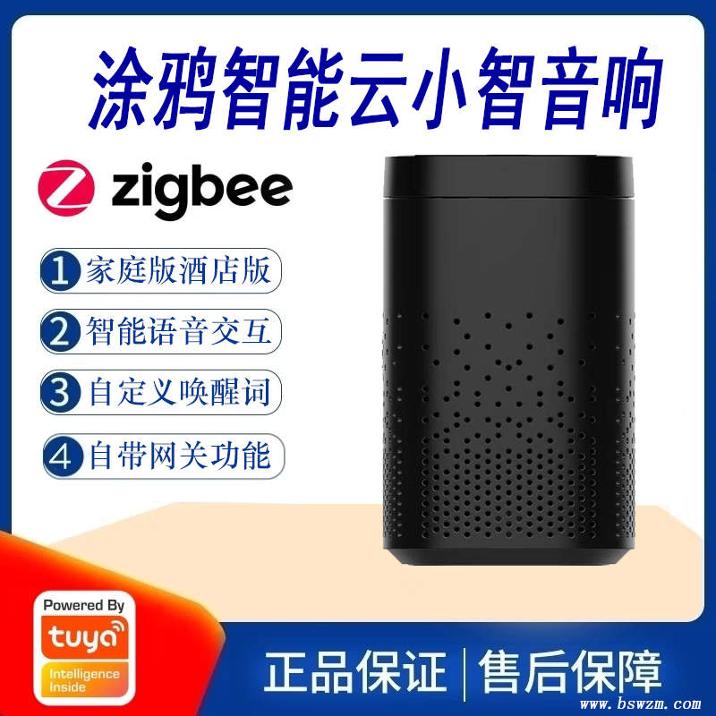 涂鸦智能 小智音响.jpg