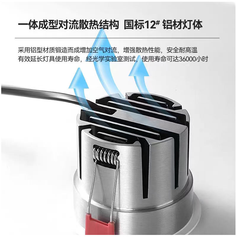 S209DM蝙蝠17.jpg