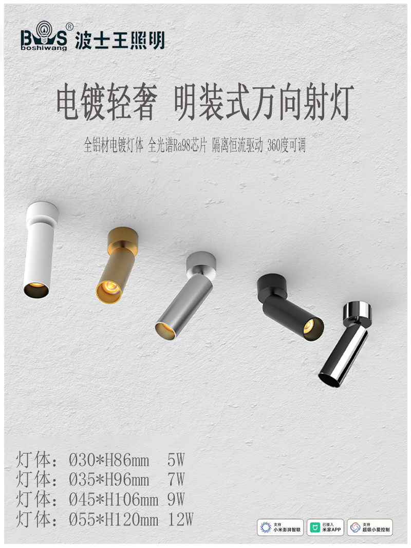 S5023MG电镀款 明装射灯2.jpg