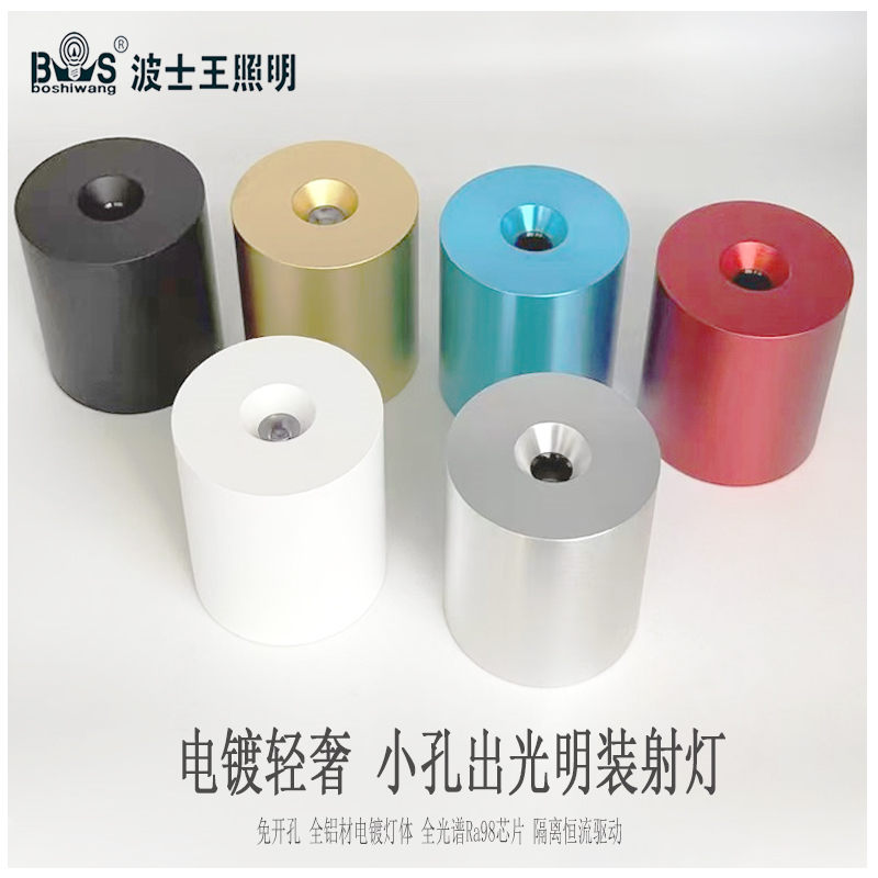 S5024MG电镀 小孔出光 明装射灯1.jpg
