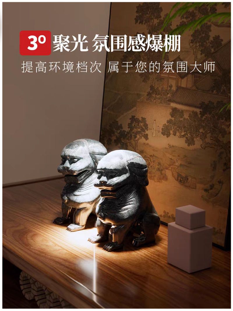 S5036YT一束光 明装射灯20.jpg