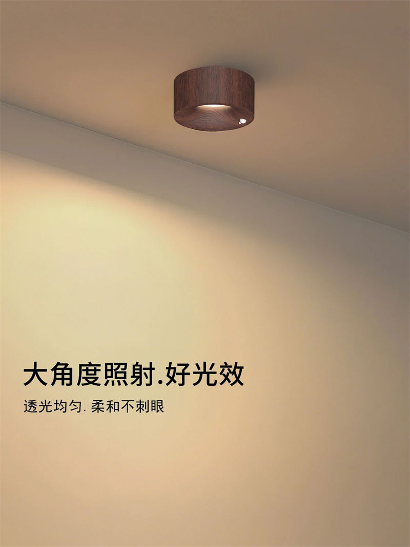 S5054YH劳力士 明装感应 射灯29.jpg