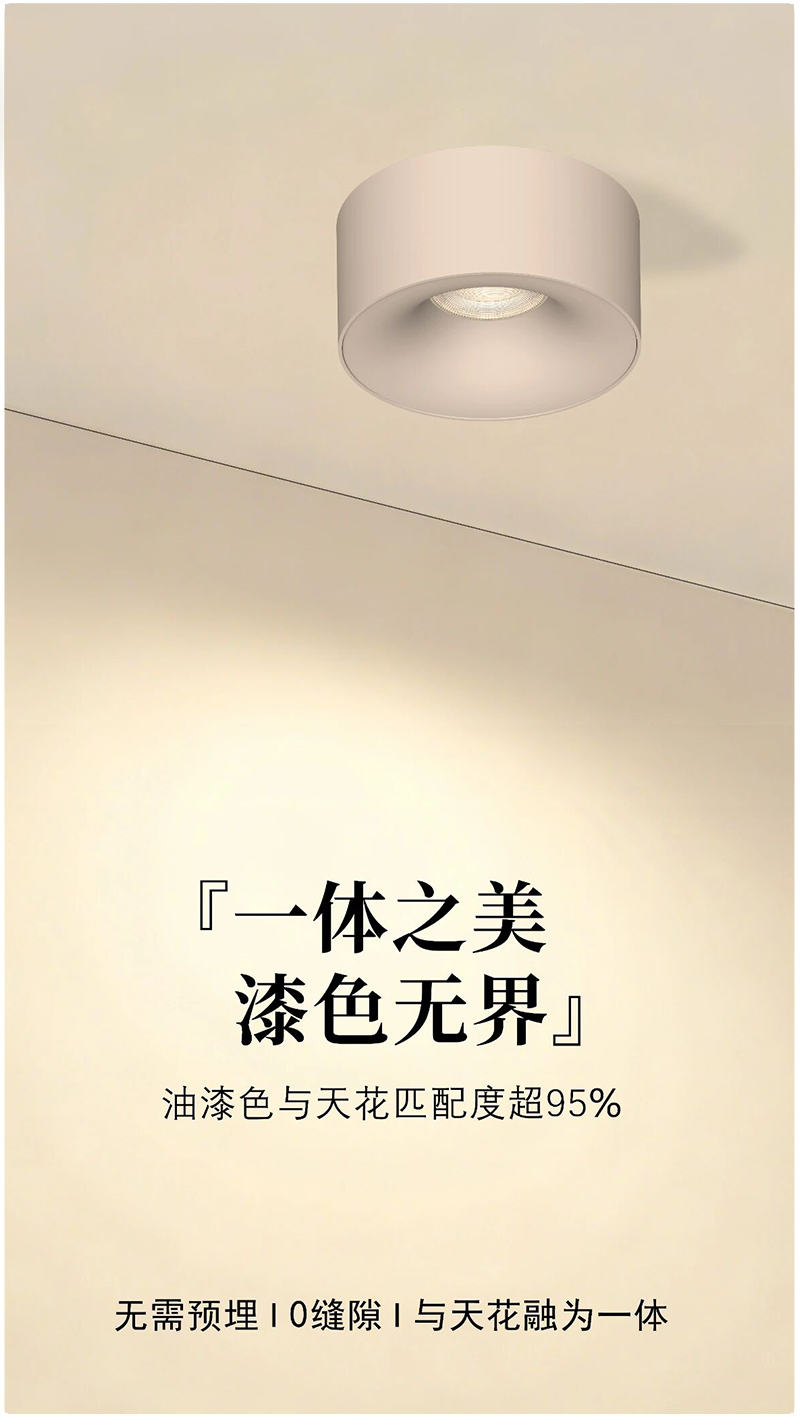 乳胶漆 劳力士 明装光学片款4.jpg