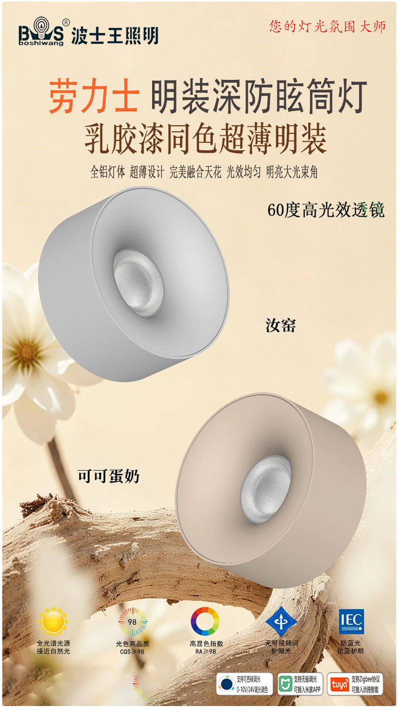 乳胶漆 劳力士 明装透镜款.jpg