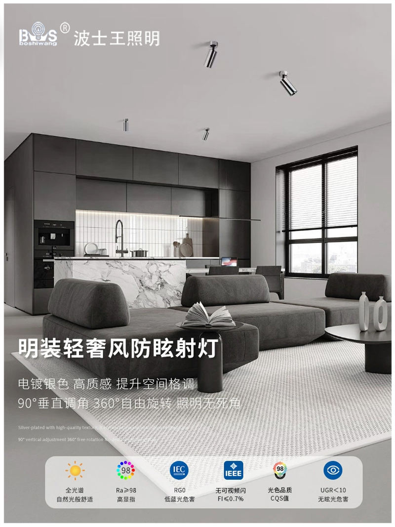 S5023MG电镀款 明装射灯1.jpg