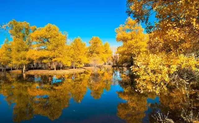 甘肃为啥成为亚洲最佳旅游地？（2）