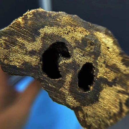 奇楠沉香结香 奇楠沉香结香