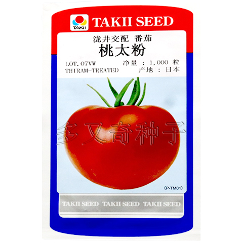 桃太粉番茄种子 日本泷井水果番茄种子 西红柿种子 糖度高口感好