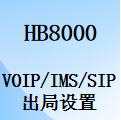國威HB8000程控交換機,Voip/IMS中繼,出局字頭參數(shù)設置,出局組號,設置說明