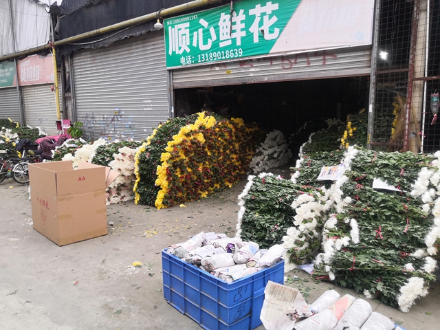 广州哪里有花可以批发？哪里最便宜