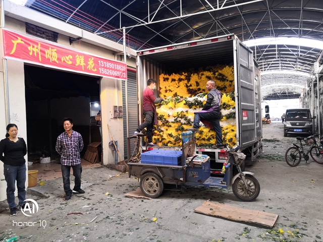 位于广州岭南花卉市场的顺心鲜花批发档口