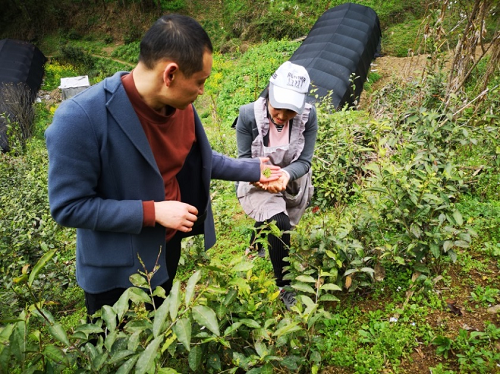 20230712155628_34985.png 1202.png