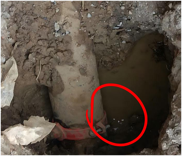 20251122215142_22825.jpg 08021430(1).jpg