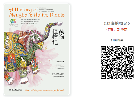 20250207161749_21067.png image.png