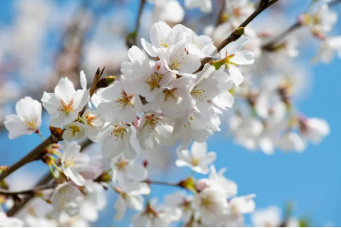 20250405095016_32473.png image.png