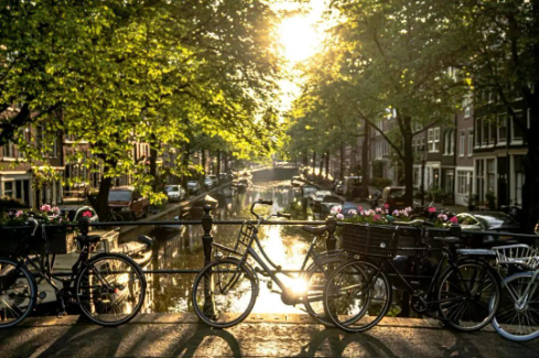 20250405095142_38320.png image.png