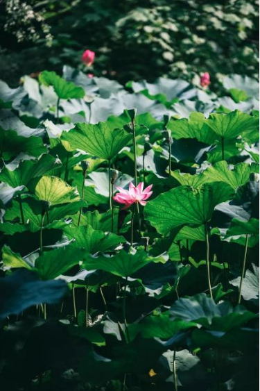 20251023171855_74486.png image.png