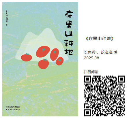 20260215160755_12067.png image.png