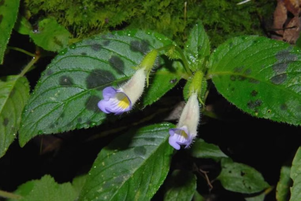 20260327163523_67619.png image.png