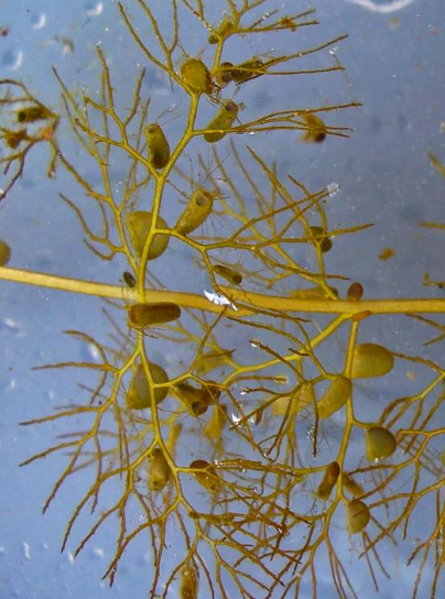 20260327165157_20842.png image.png