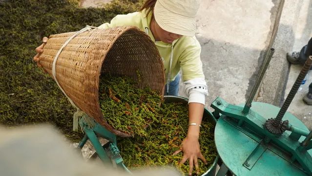 20250411111337_73781.jpg 222.jpg